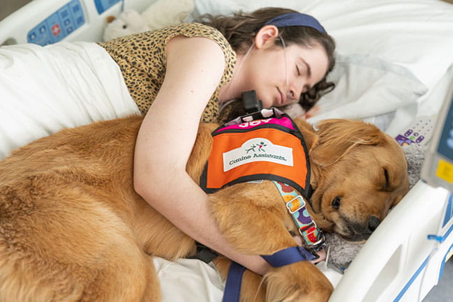 Hospital dog Agnes with a patient