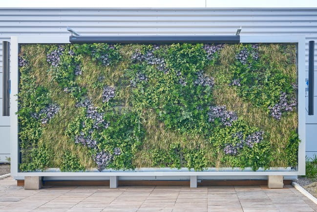 Boeing Outdoor Play Area Living Wall