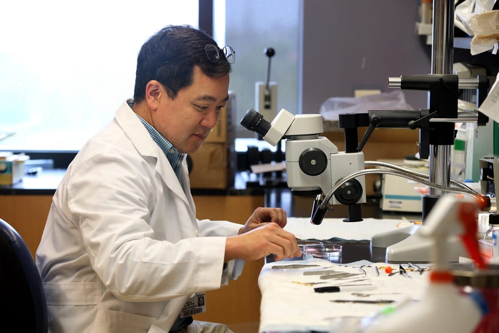 MUSC researcher Dr. Kyu-Ho Lee in his laboratory