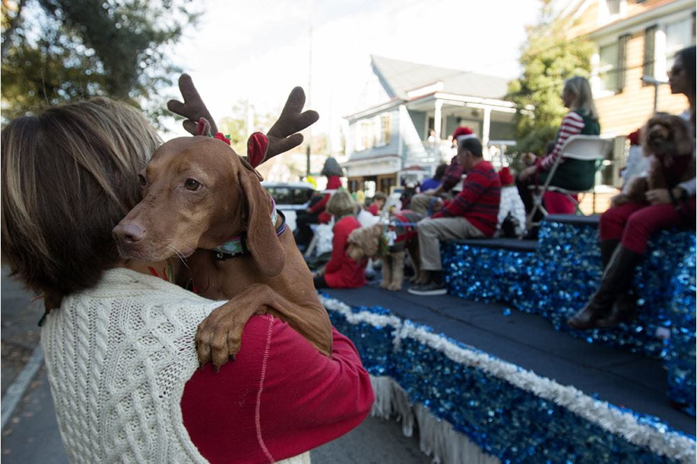 A woman holds her dog during the Angel Tree Parade