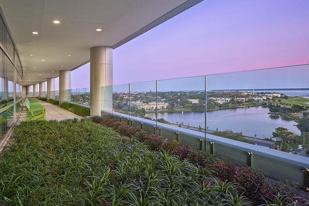 a pinkish sunrise as viewed from the terrace with lush green plants on the balcony and blue pond below