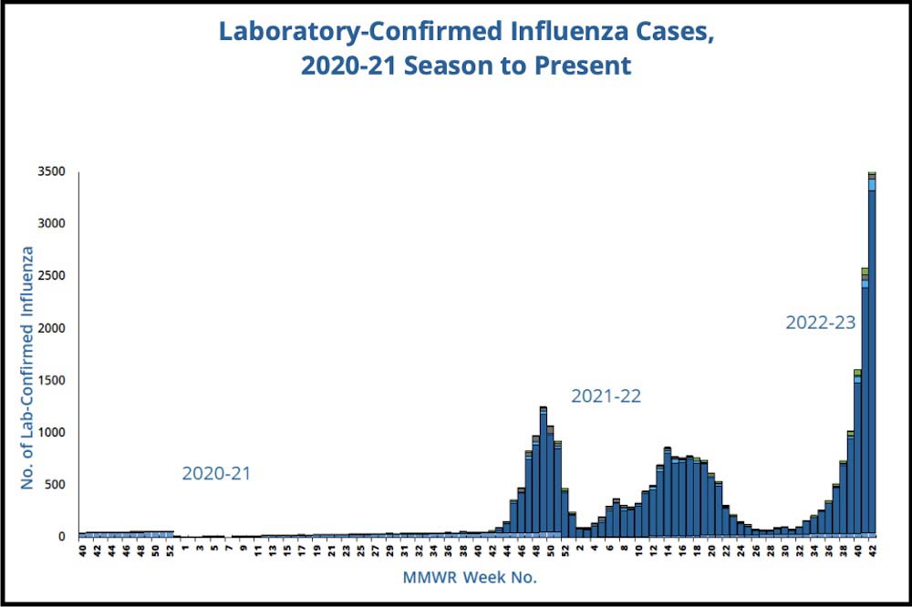 Graph shows almost no flu cases in 2020-2021, more the next year and a big spike in 2022-2023.