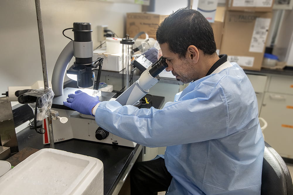 Dr. Jorge Munera in his laboratory at MUSC.