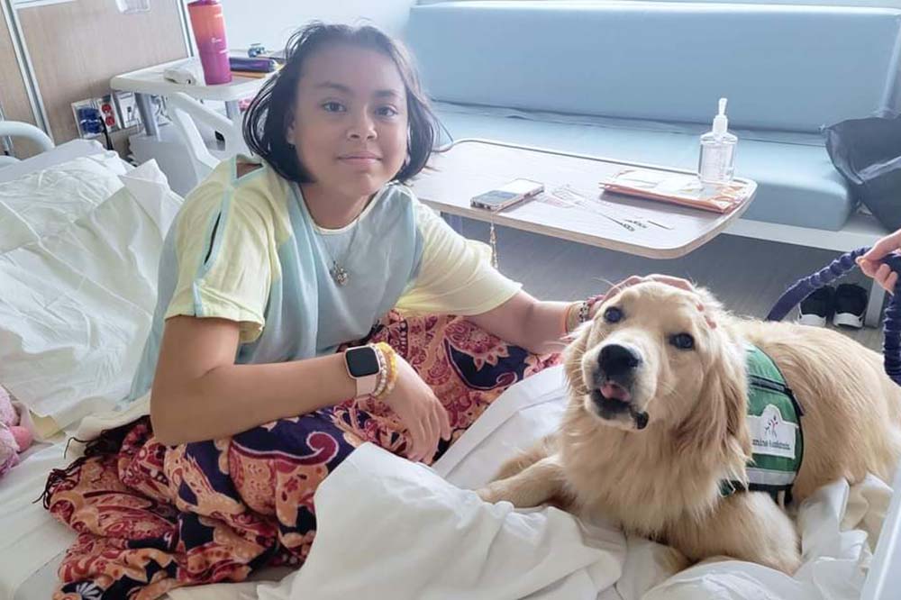 Girl in hospital bed with therapy dog.